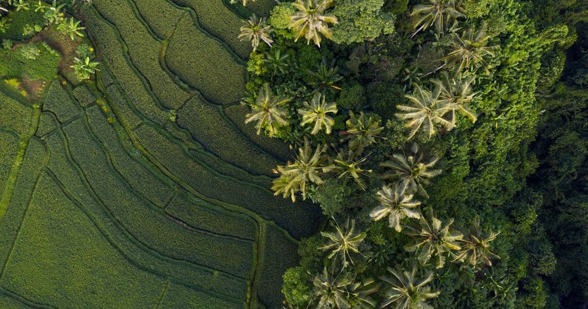 Smile Makeover: From Consultation to Final Result